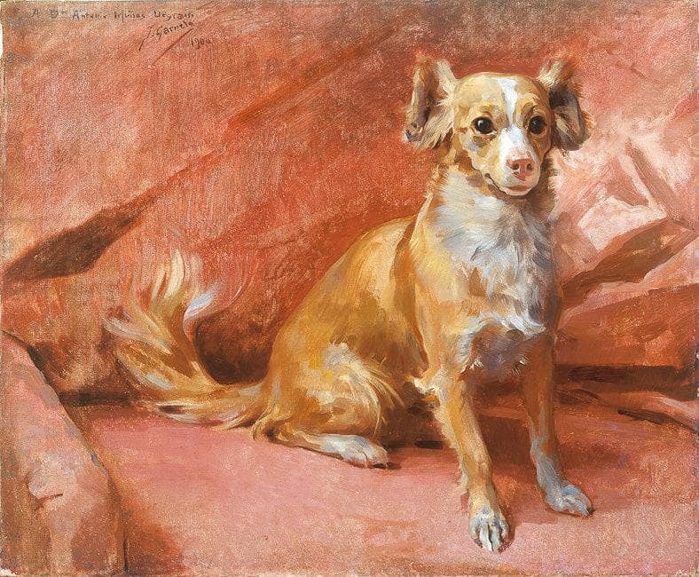 El Perro del Pintor by José Garnelo — hand-painted animal oil painting reproduction on canvas