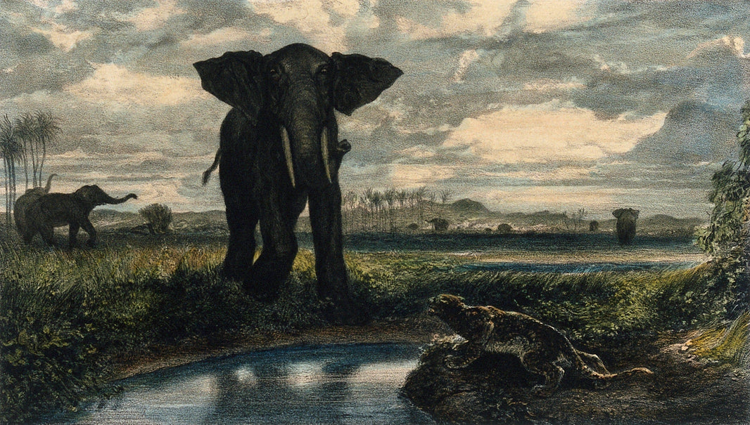 Elephants and a Panther in the Indian Desert by Alexandre-Gabriel Decamps — hand-painted animal oil painting reproduction on canvas
