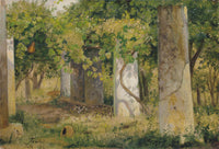 A Pergola with grapes