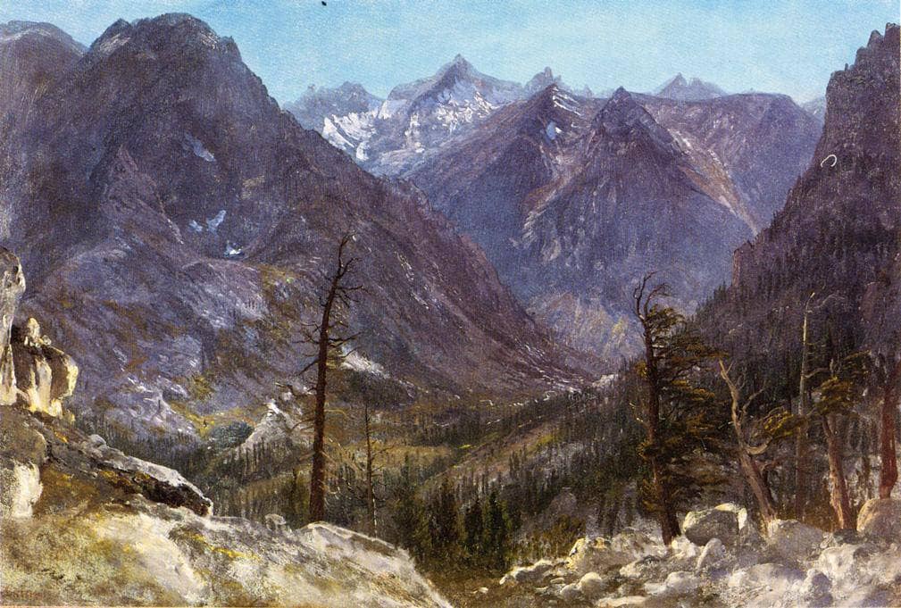 Estes Park, Colorado by Albert Bierstadt — hand-painted botanical oil painting reproduction on canvas