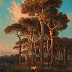 Evening Under the Pine Trees