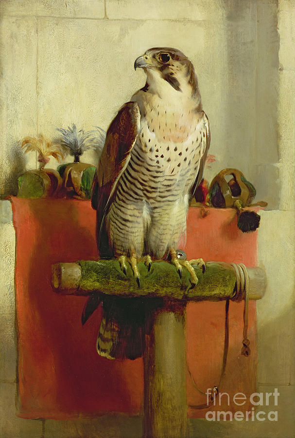 The Falcon - Edwin Henry Landseer