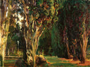 Falconieri Gardens, Frascati by John Singer Sargent — hand-painted botanical oil painting reproduction on canvas