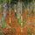 Birch Forest in study