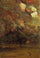 Ferns and Rocks on an Embankment in living room