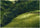 Field in Asturias in apartment