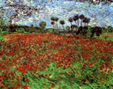 Field with Poppies by Vincent van Gogh — hand-painted botanical oil painting reproduction on canvas