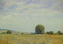 Fields at Saint Cloud by Alfred Sisley — hand-painted botanical oil painting reproduction on canvas
