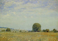 Fields at Saint Cloud by Alfred Sisley — hand-painted botanical oil painting reproduction on canvas
