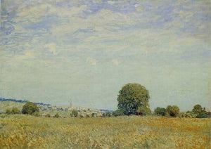 Fields at Saint Cloud - Alfred Sisley