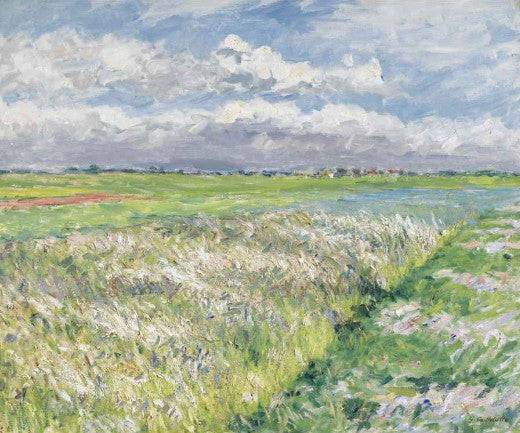 Fields, Plain of Gennevilliers - Gustave Caillebotte