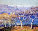 Fig Trees, Antibes by Guy Rose — hand-painted botanical oil painting reproduction on canvas