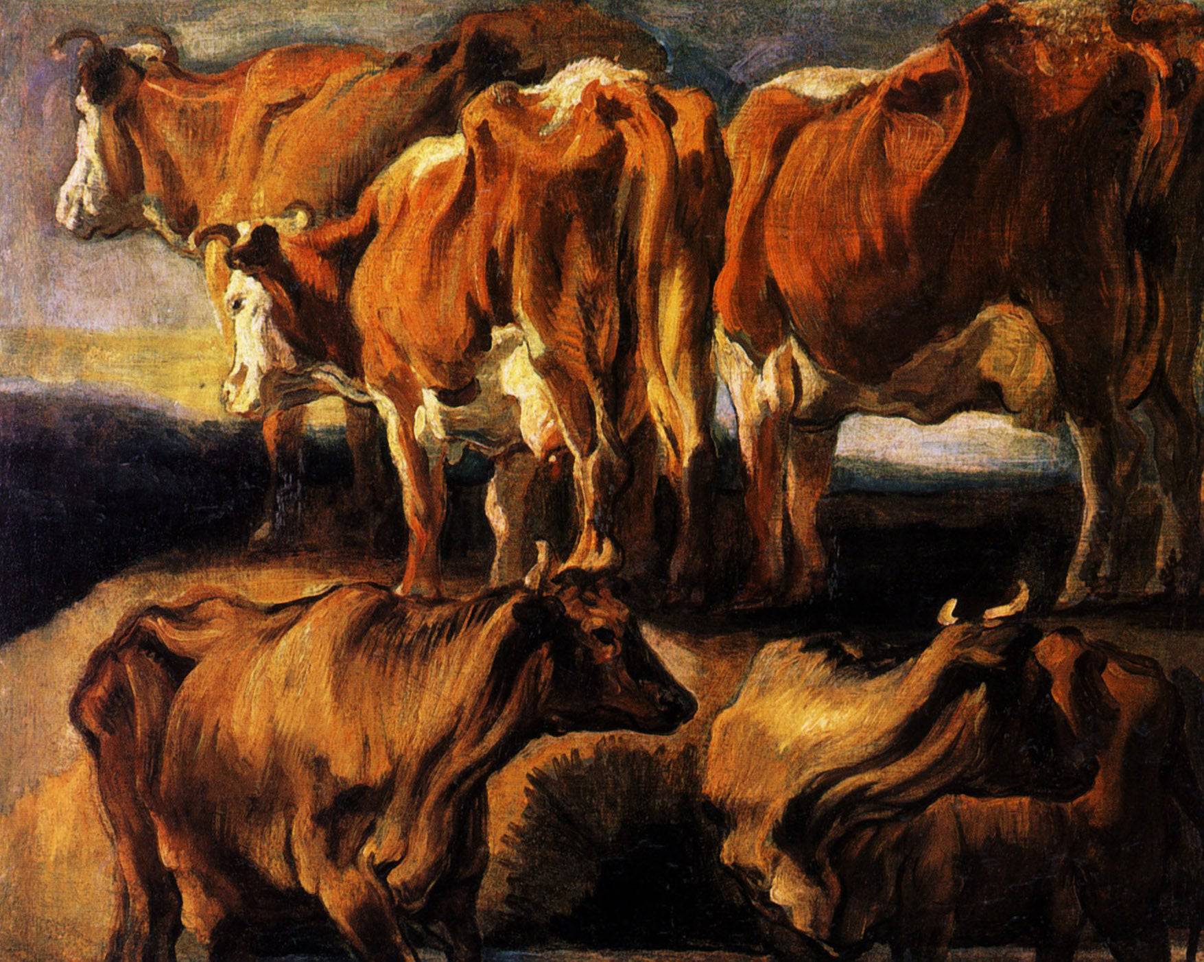 Five studies of cows - Jacob Jordaens