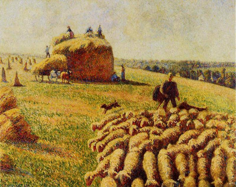 Flock of Sheep in a Field after the Harvest - Camille Pissarro