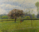 Flowering Apple Trees at Eragny by Camille Pissarro — hand-painted botanical oil painting reproduction on canvas