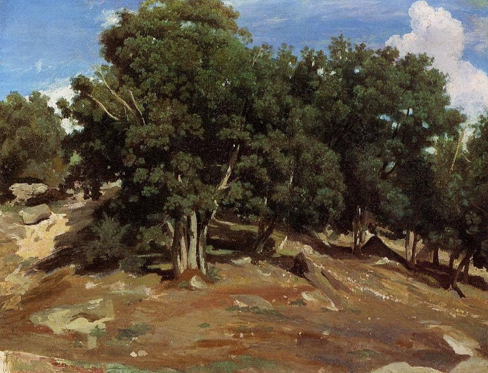 Fontainebleau Black Oaks of Bas Breau by Camille Corot — hand-painted botanical oil painting reproduction on canvas