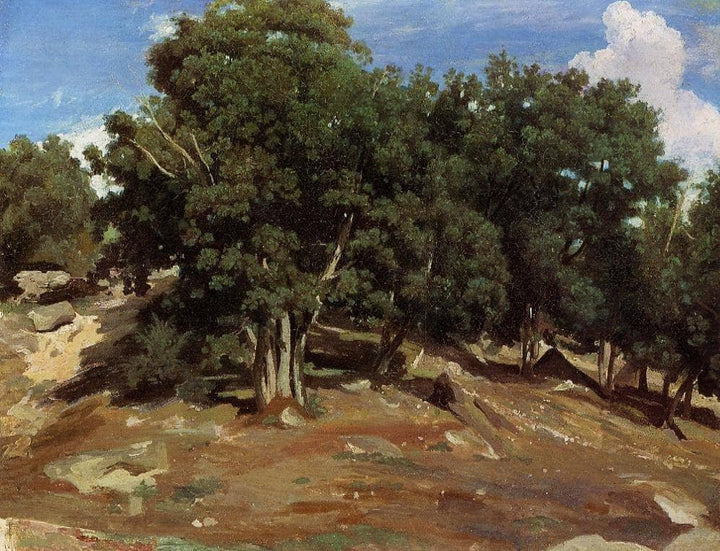 Fontainebleau Black Oaks of Bas Breau by Camille Corot — hand-painted botanical oil painting reproduction on canvas