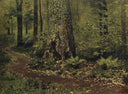 Footpath in a Forest. Ferns. by Isaac Levitan — hand-painted botanical oil painting reproduction on canvas