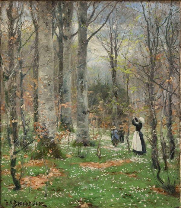 Forårsbøgeskov