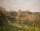 Forest in Evening in home office