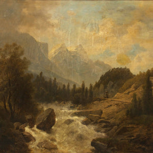 Forest landscape