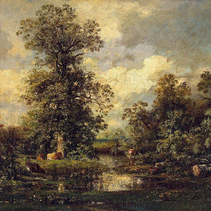 Forest Landscape