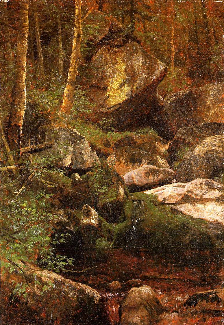 Forest Stream - Albert Bierstadt