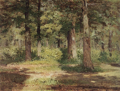 Forest. Sunny Day. in home office