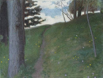 Forest. The road ... in study