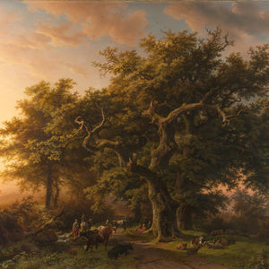 Forest View