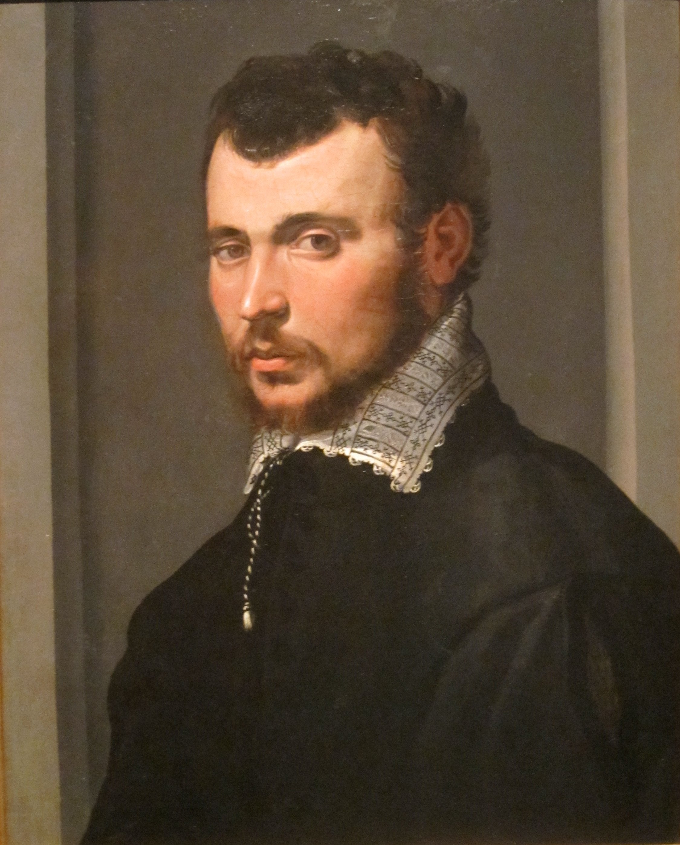 Portrait of a Young Man - Francesco de' Rossi (Francesco Salviati), "Cecchino"