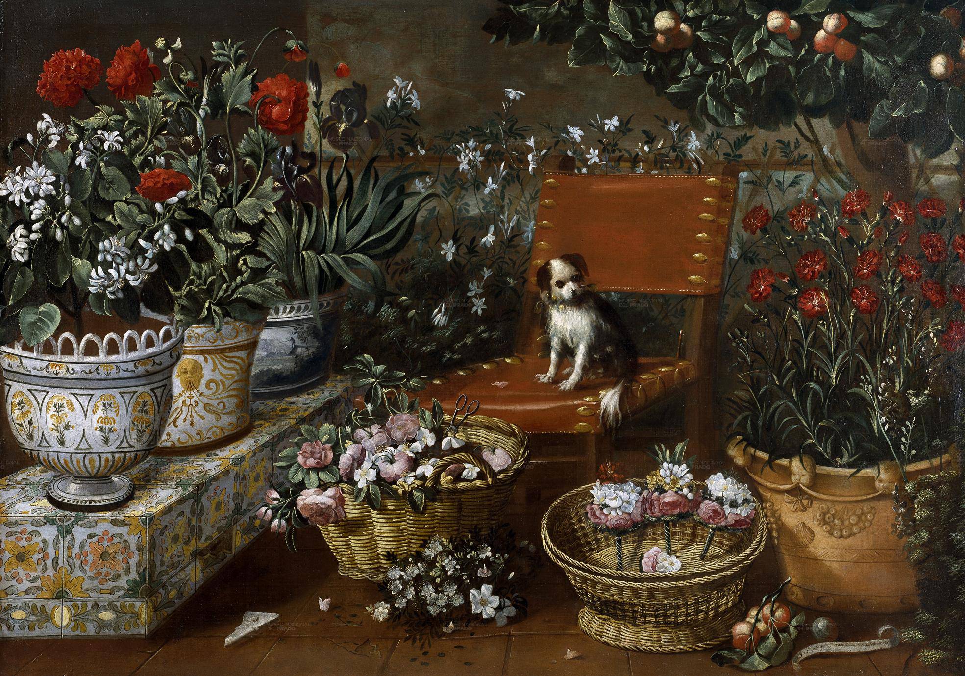 Garden View with a Dog - Tomás Yepes