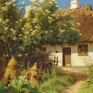 Garden with elder in bloom