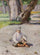Garson sitting in front of a tree in study