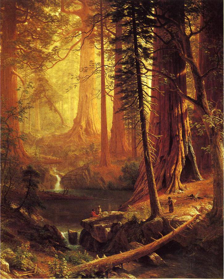 Giant Redwood Trees of California - Albert Bierstadt