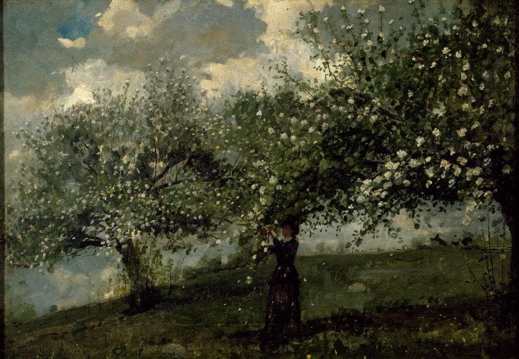 Girl Picking Apple Blossoms by Winslow Homer — hand-painted botanical oil painting reproduction on canvas