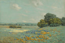 California Poppy Field by Granville Redmond — hand-painted eco oil painting reproduction on canvas