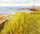 Grassy Dunes, Gloucester in kitchen