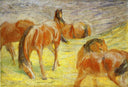 Grazing Horses by Franz Marc — horse oil painting wall art, Post Impressionism