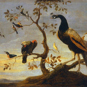 Group of Birds Perched on Branches
