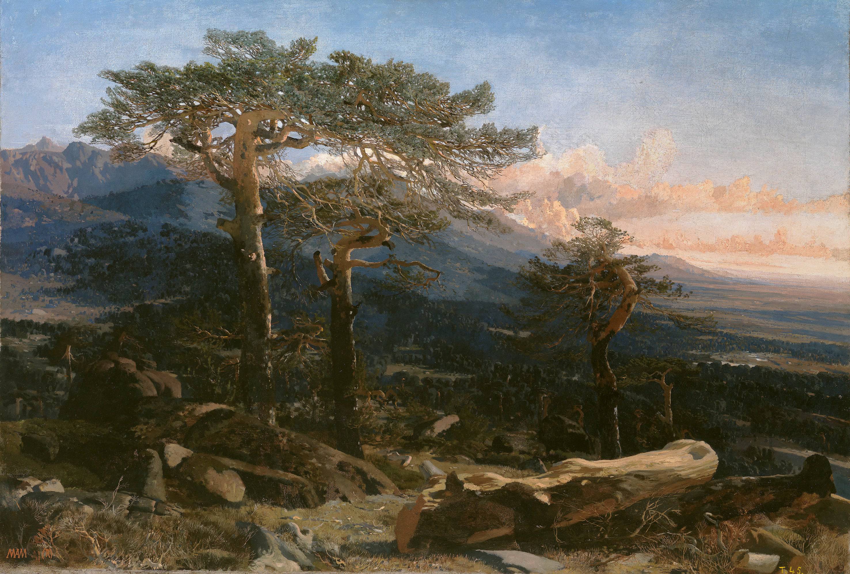 Guadarrama landscape - Martín Rico y Ortega