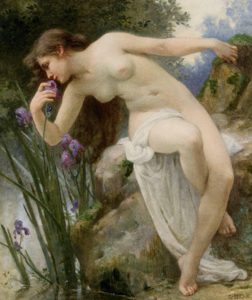 Fragrant Iris by Guillaume Seignac — hand-painted cultural oil painting reproduction on canvas