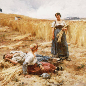 Harvesters at Mont-Saint-Père