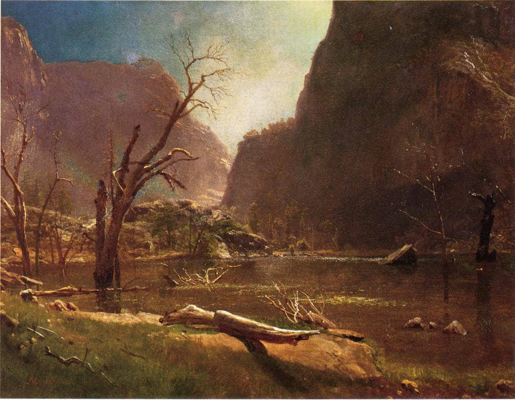 Hatch Hatchy Valley, California by Albert Bierstadt — hand-painted botanical oil painting reproduction on canvas