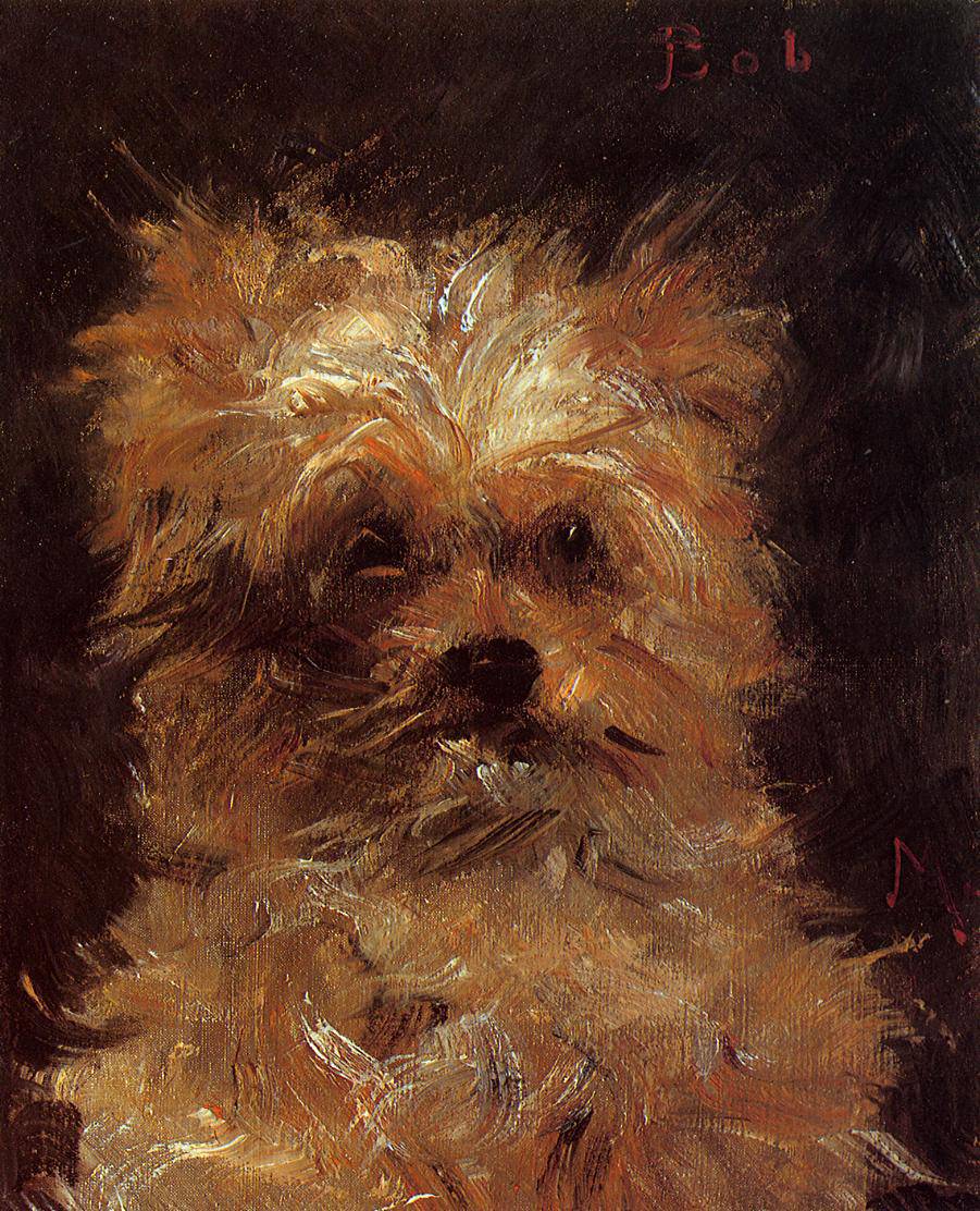 Head of a Dog - Edouard Manet