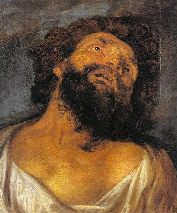 Head of a Robber by Anthony van Dyck — hand-painted portrait oil painting reproduction on canvas