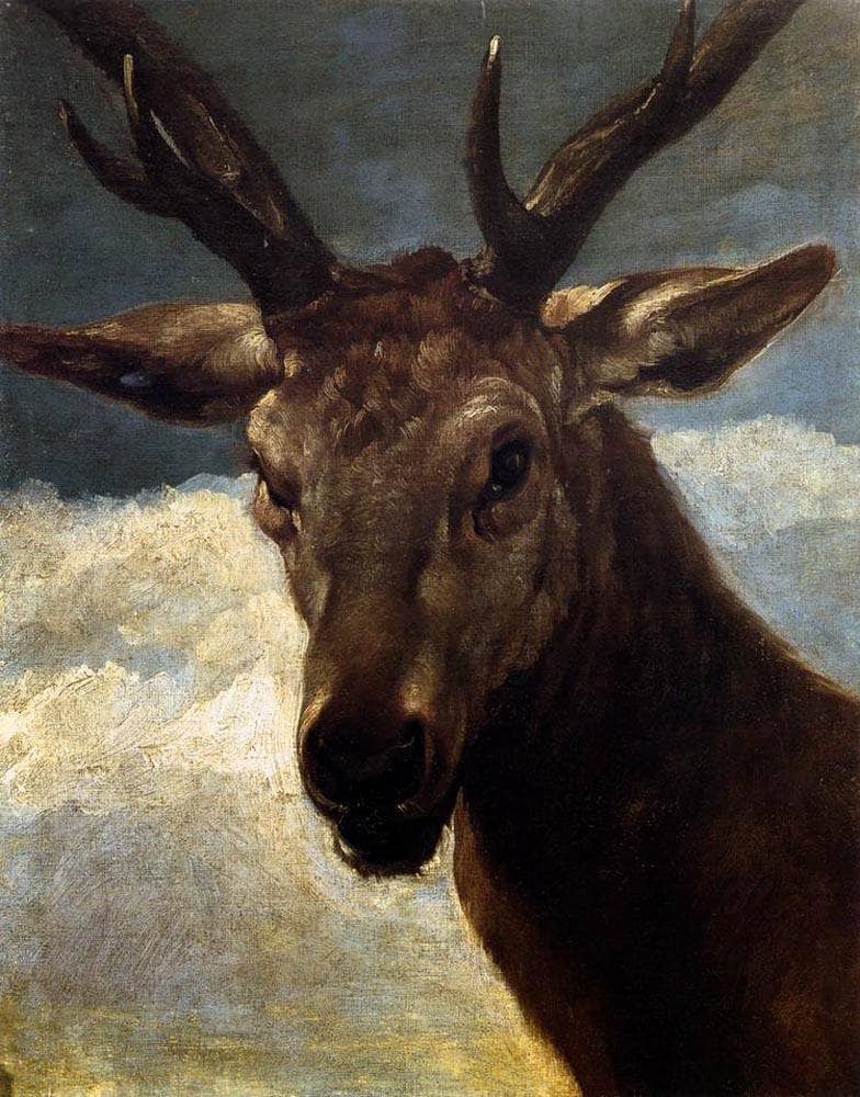 Head of a Stag by Diego Velazquez — hand-painted animal oil painting reproduction on canvas