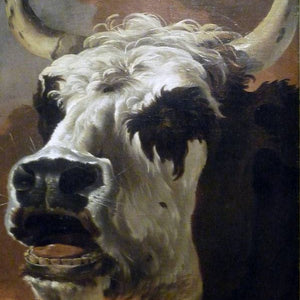 Head of beef