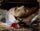 Head of Christ in entryway