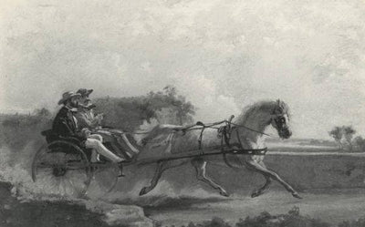 Horse-drawn carriage ride in study